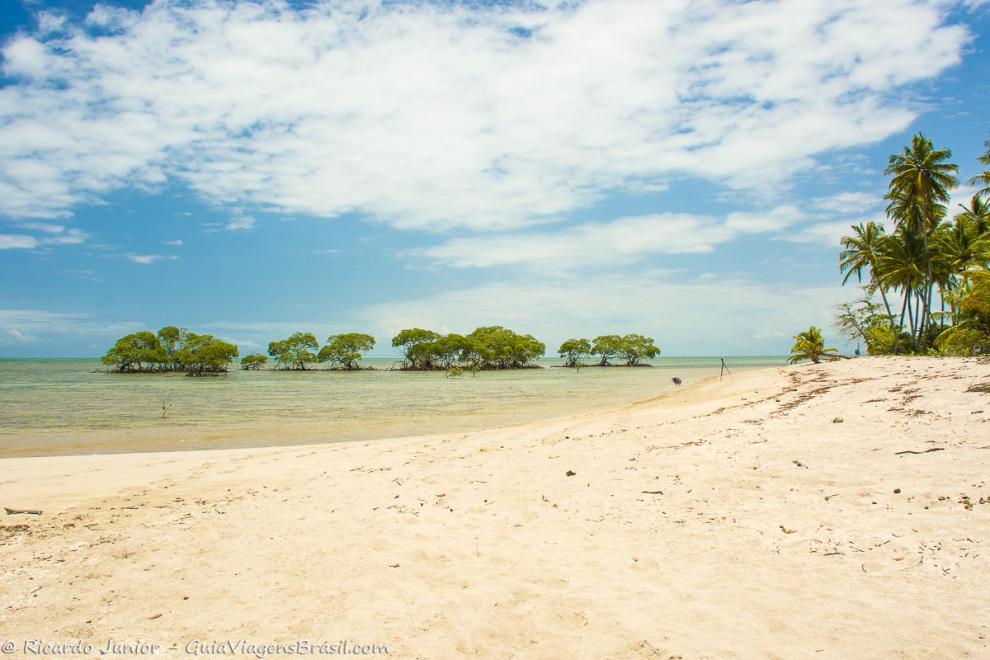 Imagem da lindíssima Praia da Ponta dos Castelhanos.